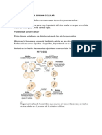 Taller Mitosis y Meiosis