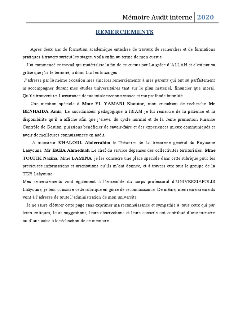 Memoire 1 Pdf Audit Interne Audit