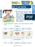 El Oido y La Vista para Tercer Grado de Primaria