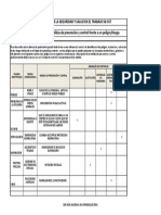 Matriz Jerarquizacion