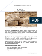 Artikel Tugas Kegunaan Batu Kapur - Muhamad Alfa Rizky - 116180012 - Kelas B