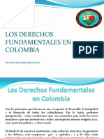 Los Derechos Fundamentales en Colombia