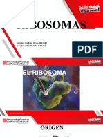 Diapositiva Sobre Los Ribosomas