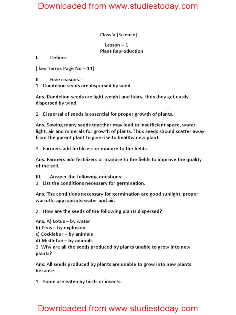 Cbse Class 5 Science Plant Reproduction Seed Plants