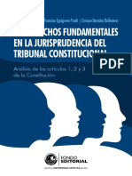 Los Derechos Fundamentales en La Jurisprudencia Del TC PDF