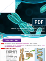 Unidad 19 Citogenética PDF