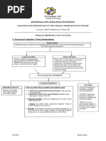 Anatomy Reproductive System