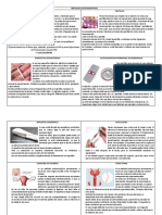 MÉTODOS ANTICONCEPTIVOS Folleto