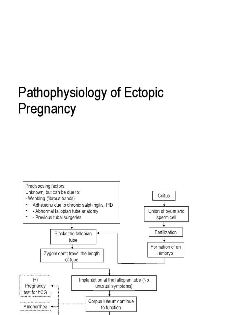 Pathophysiology of Ectopic Pregnancy | Download Free PDF | Diseases And