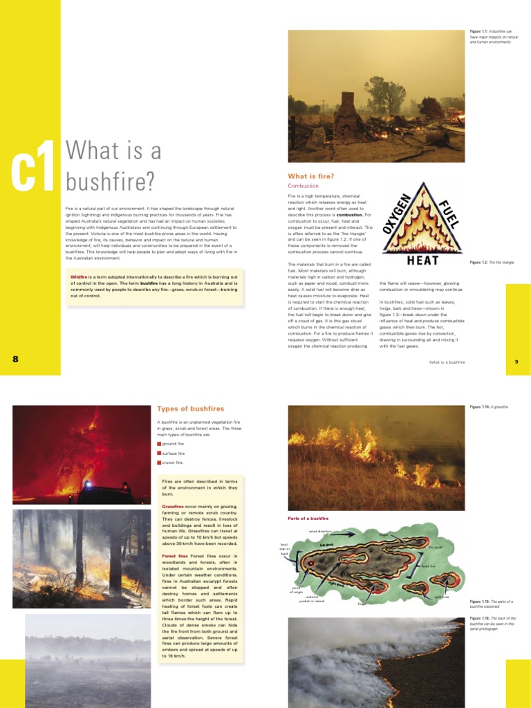 Blue Mountains Bushfire Overview 2013 | PDF | Fires | Wildfire