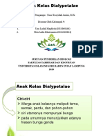 Anak Kelas Dialypetalae Ciri-ciri dan Bangsa