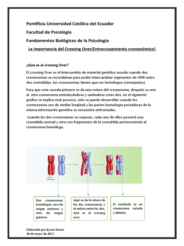 Importancia del Crossing Over Genético | PDF | Cromosoma | Adn