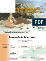 Yuca Sus Derivados en La Alimentacion de Monogastricos PDF