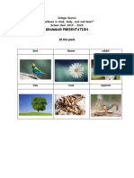 Kii - Park - Grammar Presentation PDF