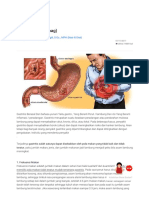 Diet Gastritis (Maag