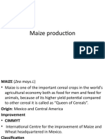 Maize production guide: A concise overview of maize cultivation