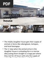Modern Slaughter House Layout | PDF | Slaughterhouse | Animal Slaughter