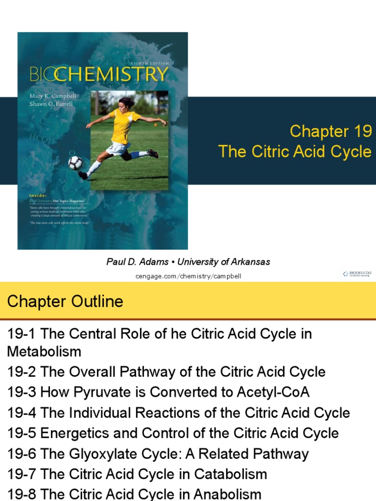 Chapter 19 Citric Acide Cycle | PDF | Citric Acid Cycle | Diet & Nutrition