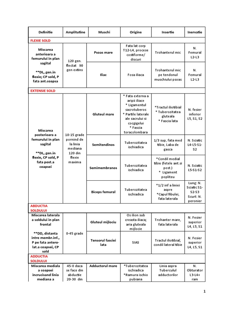 Miscari Sold, Coapsa, Gamba, Picior | PDF