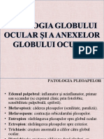 dokumen.tips_patologia-globului-ocular-si-anexepptconv-1.ppt