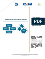 Managementul in Proiecte-Performanta