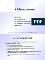 310326228-Risk-Management.pdf