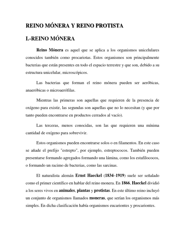 Reinos Mónera y Protista | PDF | Procariota | Las bacterias