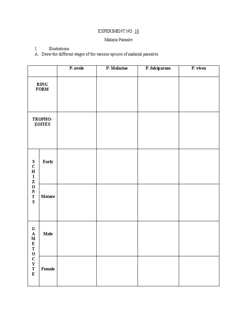 Experiment No 10 | PDF | Language Arts & Discipline | Art