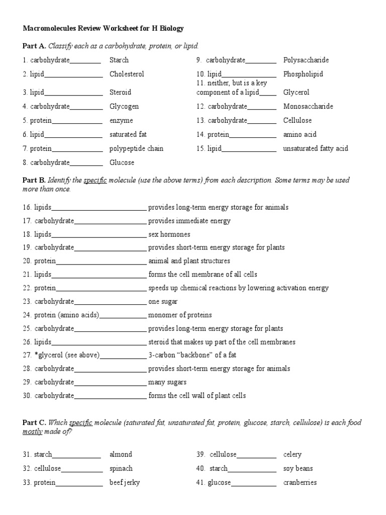 marocmolecule-review-worksheet-answer-key-pdf-carbohydrates-lipid
