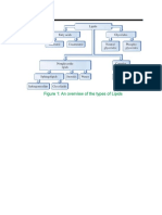 Lipids Structures