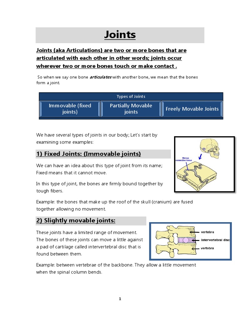 Anatomy and Functions of Joints Exploring the Structure and Movement