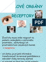 Zmyslove Receptory