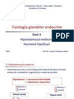 Sistem Endocrin Curs 1 PDF