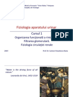 Curs 1 Ro Renal 2019-2020 PDF