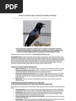 Download BURUNG MURAI BATU by Dadi Santosa SN45933729 doc pdf