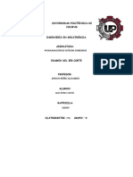 Proyecto Final Del 3er Corte PDF