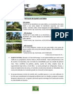 DETALLES DE QUINTA VICTORIA v4.pdf
