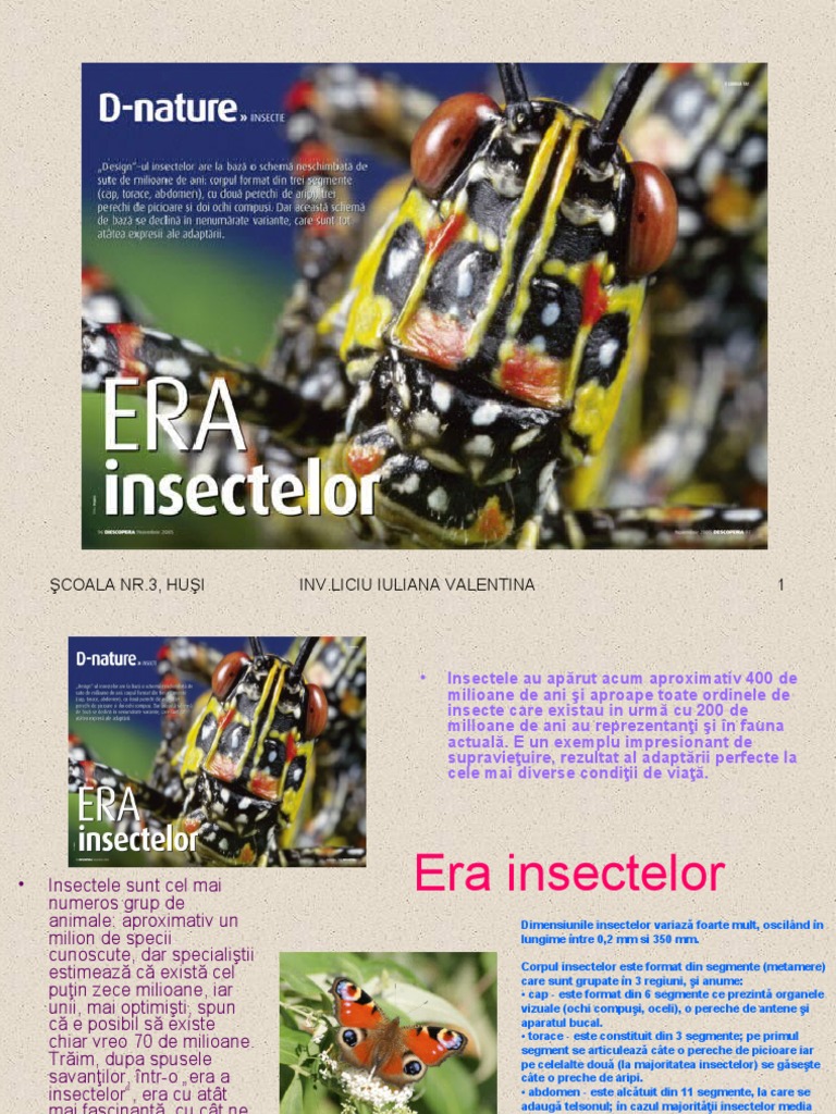 Despre Insecte | PDF