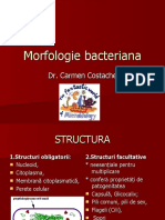 curs-2-morfologie-bacteriana-2012