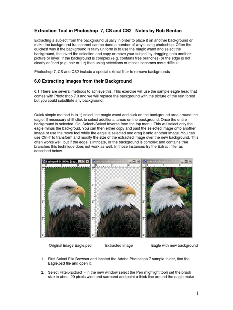 Extracting Images in Photoshop 7.0 | PDF | Adobe Photoshop | Computer ...