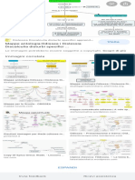 Schema Odissea - Ricerca Google