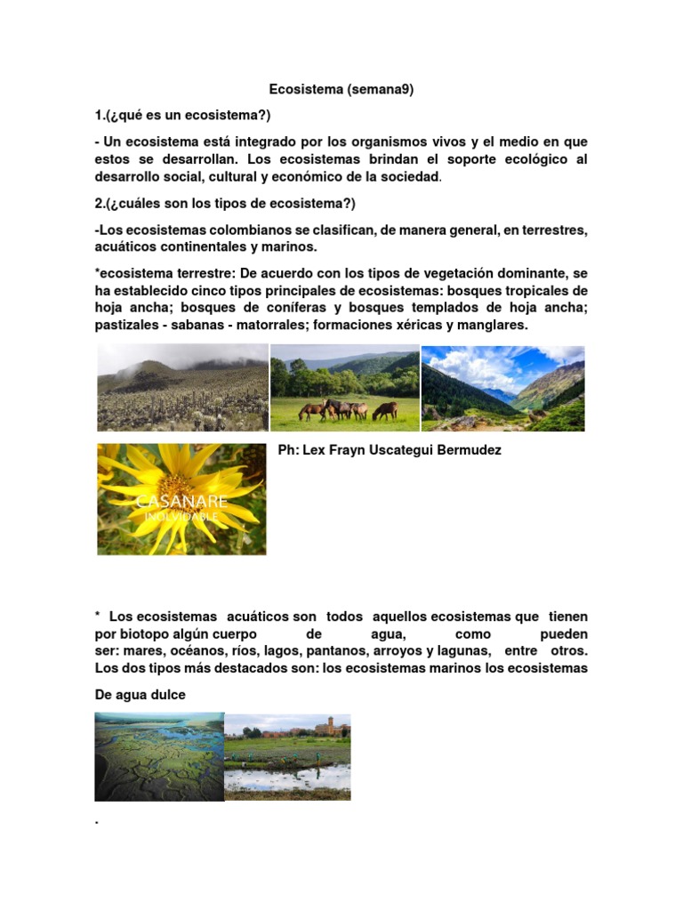 Tipos y componentes de ecosistemas en Colombia | PDF | Ecosistema | Los ...