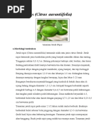 Download Jeruk Nipis by sieoka_822 SN45934980 doc pdf