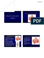 ANATOMIE MYO MEMBRE SUP.pdf