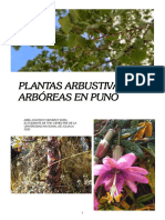 Especies Arbustivas y Arbóreas en Puno