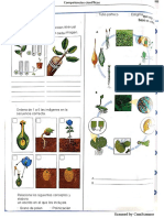 Taller de Propagacion en Plantas