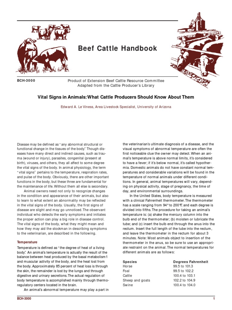 Beef Cattle Handbook Vital Signs in Animals What Cattle Producers Should Know About Them PDF