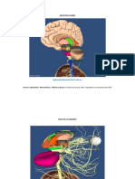 Biotk Del Sueño, Memoria, Motivación, Emoción y Percepción.