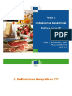 Tema 1 - Schimiliver - Politica UE-IG PDF