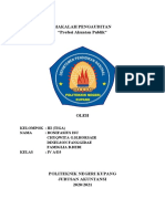 Makalah Kelompok 3 Profesi Akuntan Publik